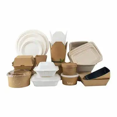 تولیدظروف یکبار مصرف گیاهی