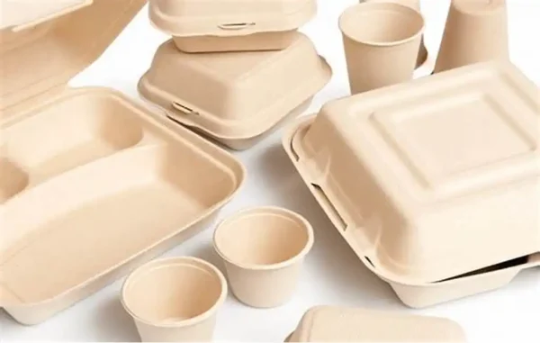 تولیدظروف یکبار مصرف گیاهی