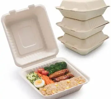 ارائه بهترین ظروف یکبار مصرف گیاهی