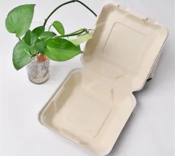 خرید ظروف یکبار مصرف گیاهی