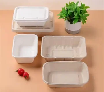 خرید عمده ظروف یکبار مصرف گیاهی